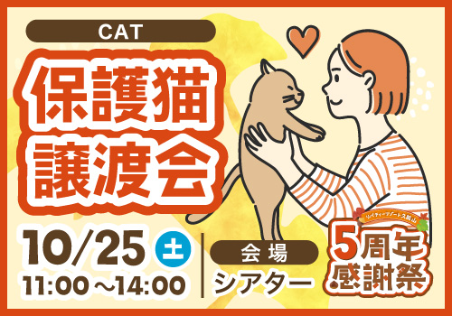 保護猫譲渡会