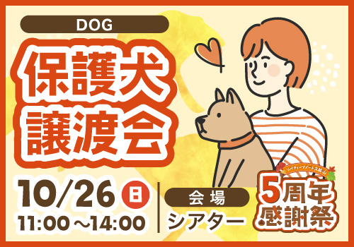 保護犬譲渡会